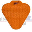 ANTISALPINJ.webp